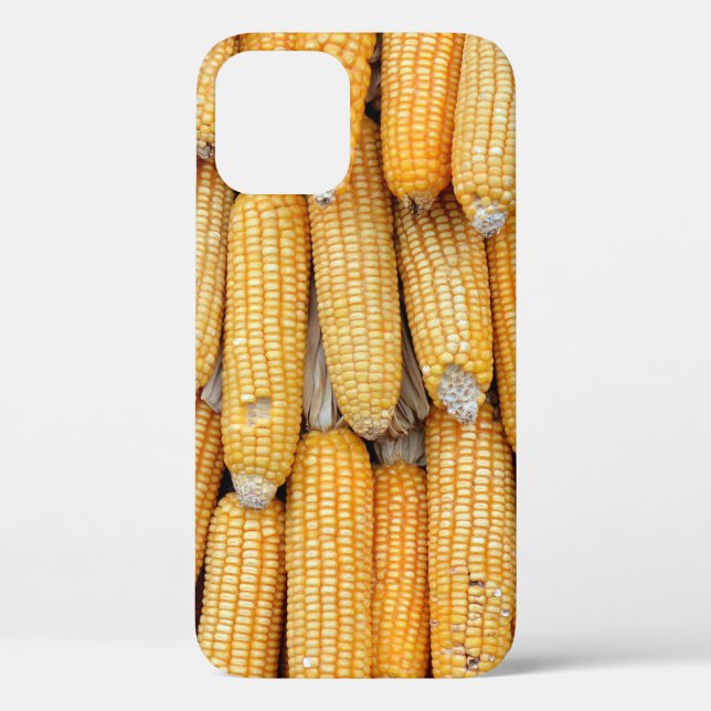 Dried corn that was stacked . Case-Mate iPhone case (Back)