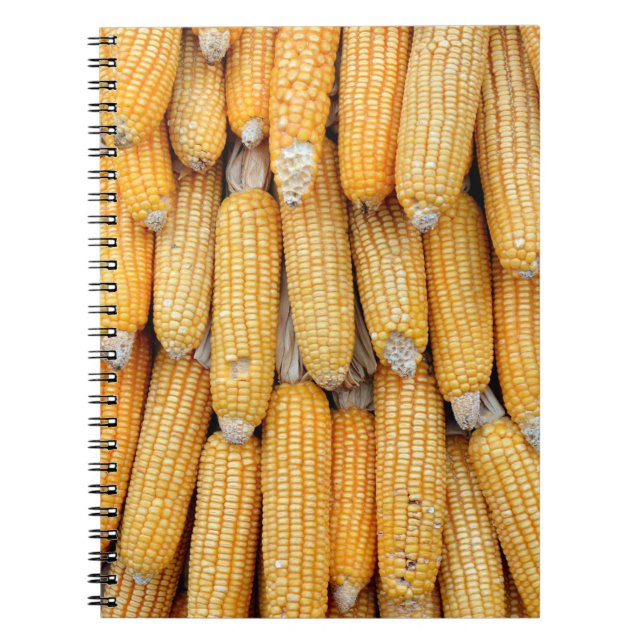 Dried corn that was stacked . notebook (Front)
