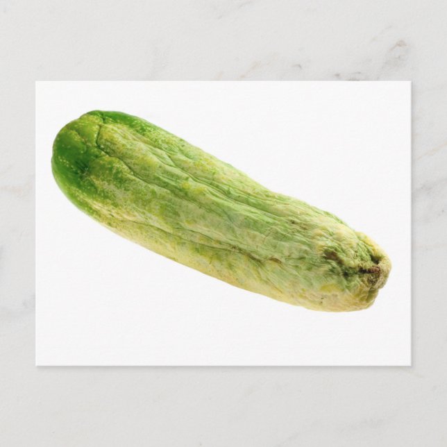 Dried cucumber postcard (Front)
