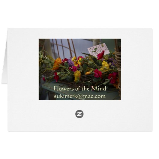 Dried Flowers (Back Horizontal)