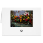 Dried Flowers Cards (Back Horizontal)