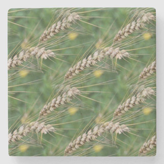 Dried Grasses Nature Art Pattern Stone Coaster (Front)