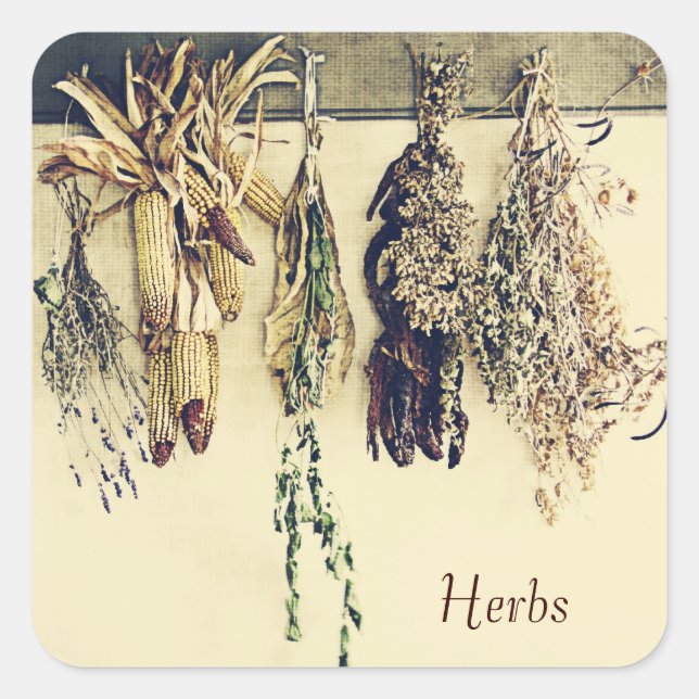 dried herbs rustic country still life square sticker (Front)