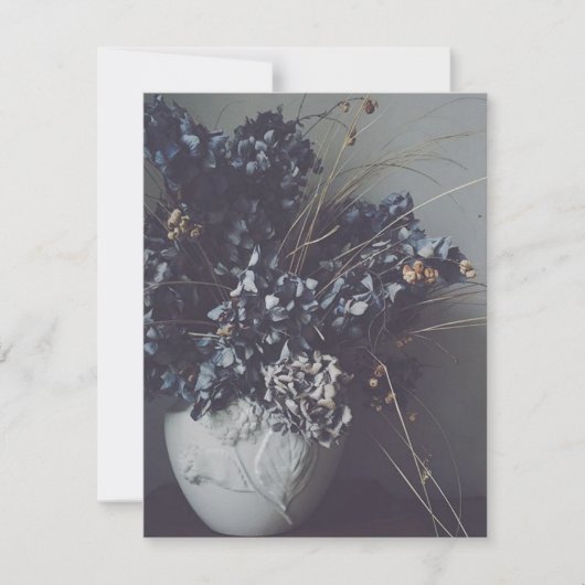 Dried hortensien blooms, delicate beauty. (Front)