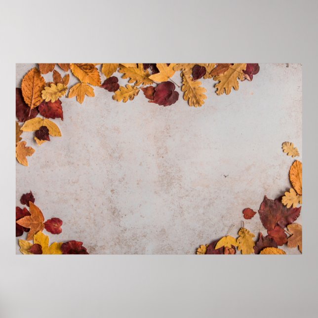 DRIED LEAVES ON WHITE CONCRETE FLOOR POSTER (Front)