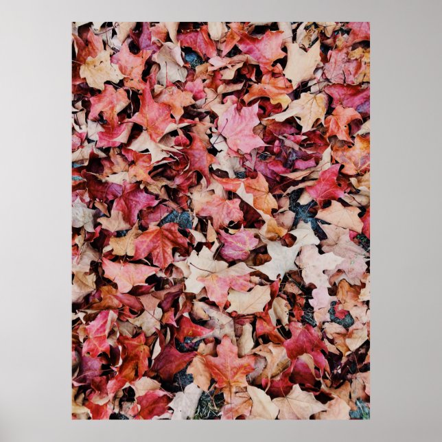 Dried leaves poster (Front)