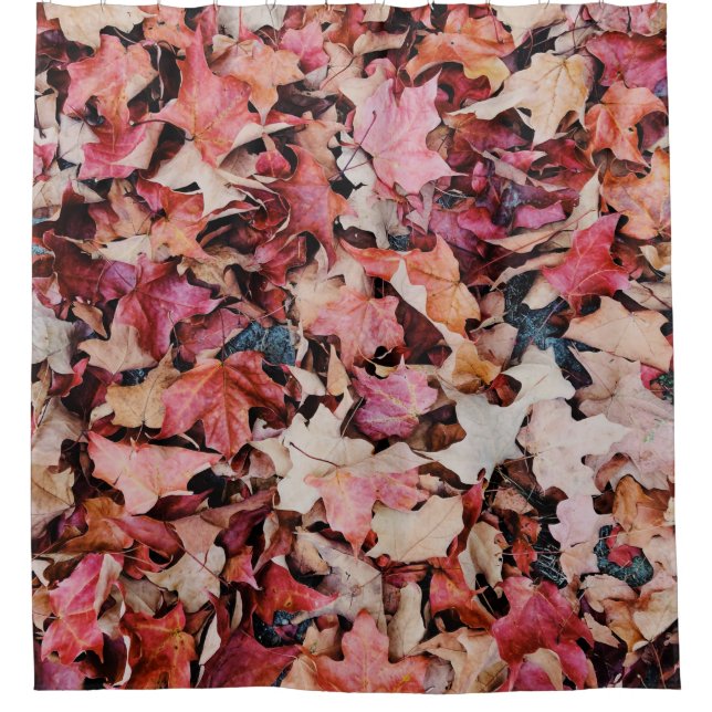 Dried leaves shower curtain (Front)
