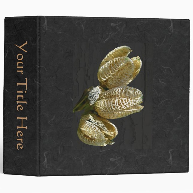 Dried Lily Seed Pods Binder (Front/Spine)
