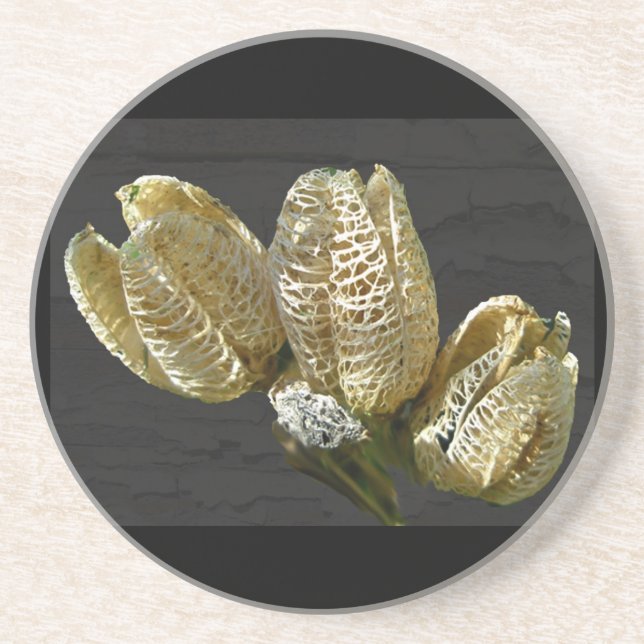 Dried Lily Seed Pods Drink Coaster (Front)