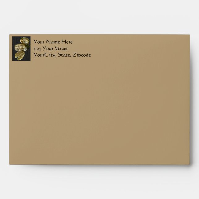 Dried Lily Seed Pods Envelope (Front)