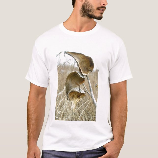 Dried Milkweed Pods T-Shirt (Front)