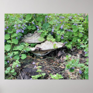 Dried Mushrooms And Flowers On Tree Stump Poster
