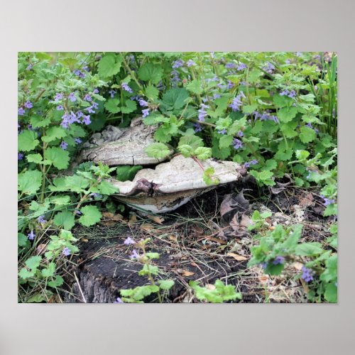 Dried Mushrooms And Flowers On Tree Stump Poster