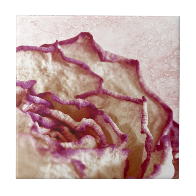 Dried Pink Rose Ceramic Tile (Front)