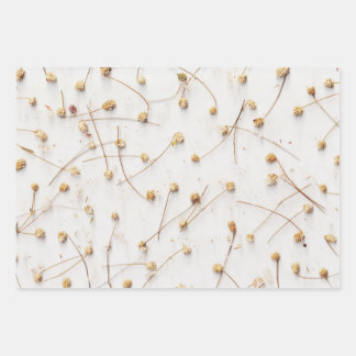 Dried plant patterns for weddings and gifts wrapping paper sheets