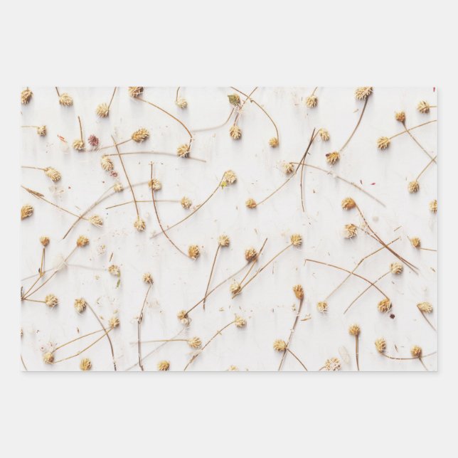 Dried plant patterns for weddings and gifts wrapping paper sheets (Front 3)