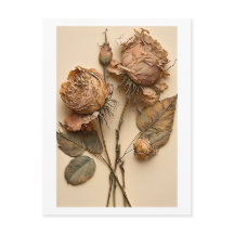Dried Roses Floral Postcard Print