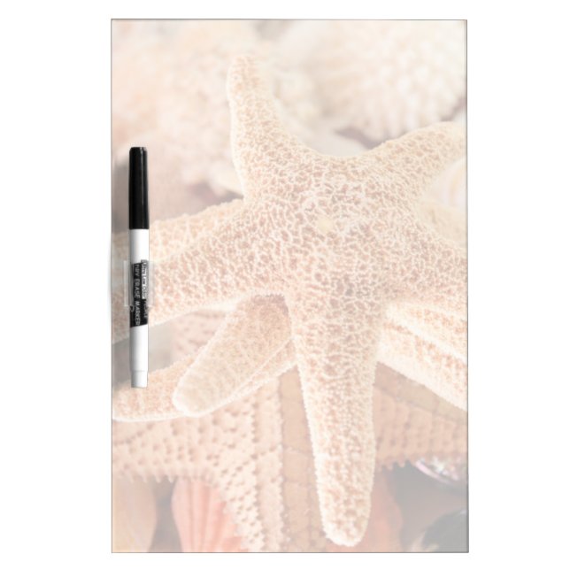 Dried sea stars sold as souvenirs 2 Dry-Erase board (Front)