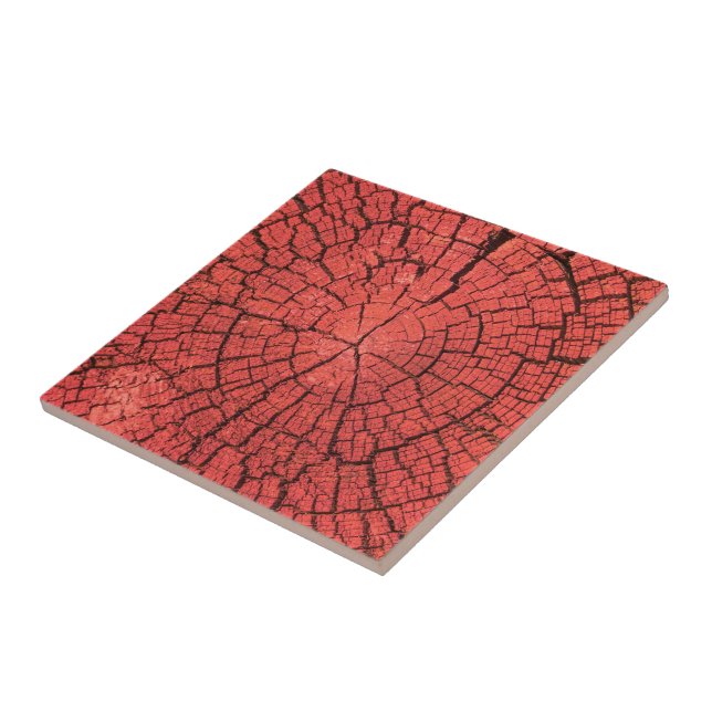 Dried Tree Log Cutaway Pinkish Red Wood Photo Ceramic Tile (Side)
