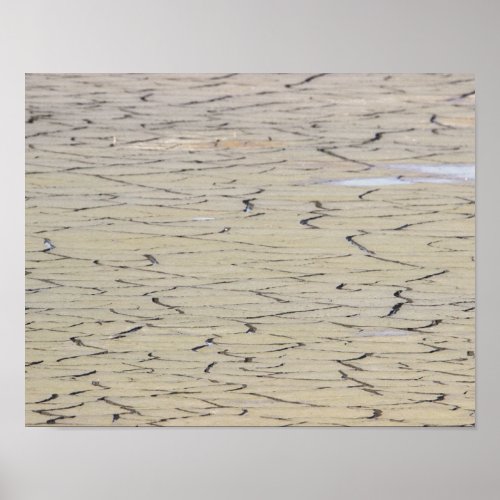 Dried up Tidal Marsh Photo Poster