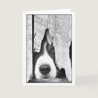 Drift Card