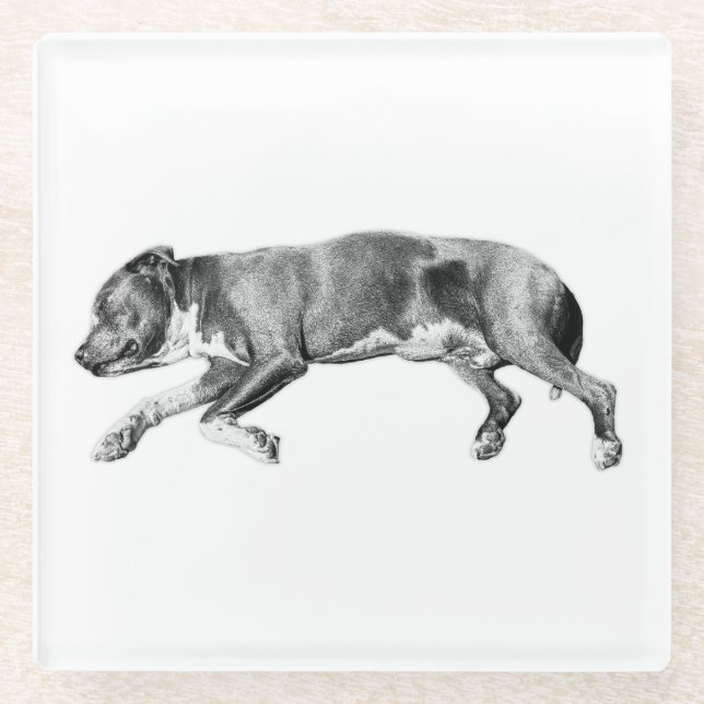 Drift into Calm – Detailed Dog Slumber Glass Coaster (Front)