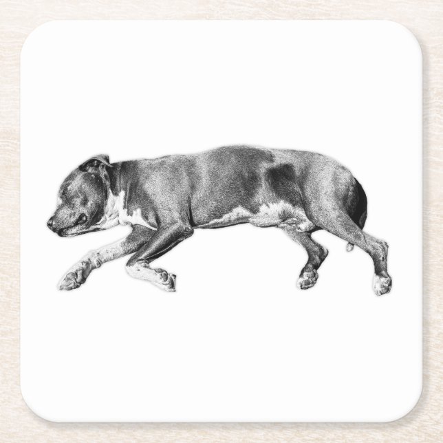 Drift into Calm – Detailed Dog Slumber Square Paper Coaster (Front)
