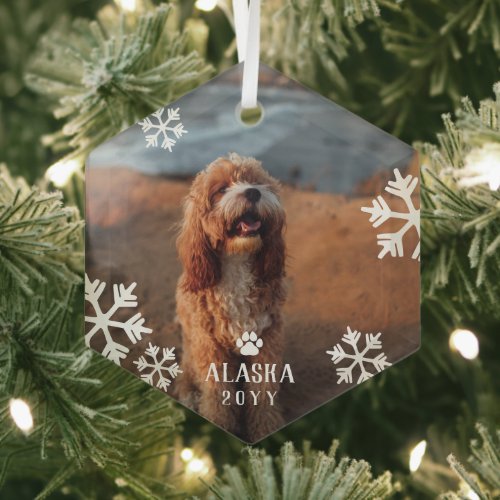 Drifting Snowflakes Pet Photo Add Name  YeaR Glass Ornament