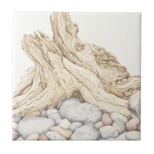 Driftwood and Pebbles Ceramic Tile