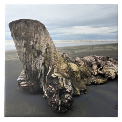Driftwood at Benson Beach Cape Disappointment WA Ceramic Tile