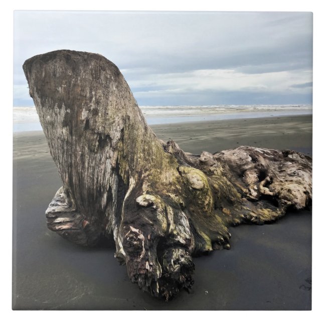 Driftwood at Benson Beach, Cape Disappointment, WA Ceramic Tile (Front)