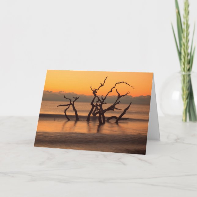 Driftwood Beach at Sunrise Jekyll Island Georgia Card (Front)