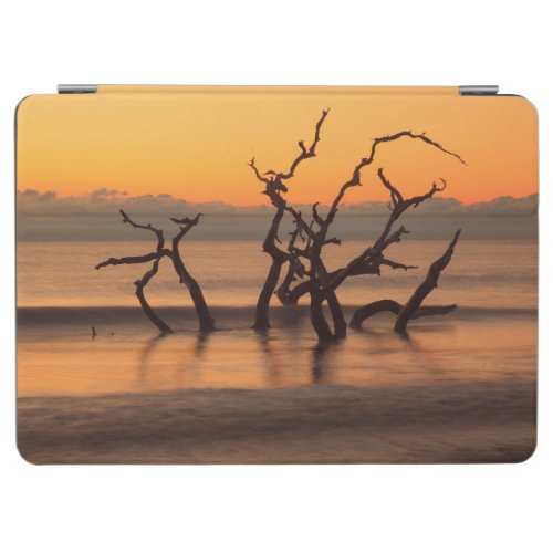 Driftwood Beach at Sunrise Jekyll Island Georgia iPad Air Cover