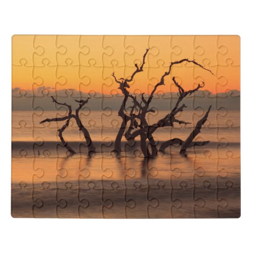 Driftwood Beach at Sunrise Jekyll Island Georgia Jigsaw Puzzle