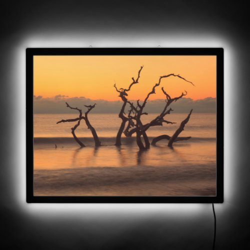 Driftwood Beach at Sunrise Jekyll Island Georgia LED Sign