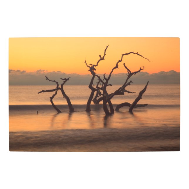 Driftwood Beach at Sunrise Jekyll Island Georgia Metal Print (Front)