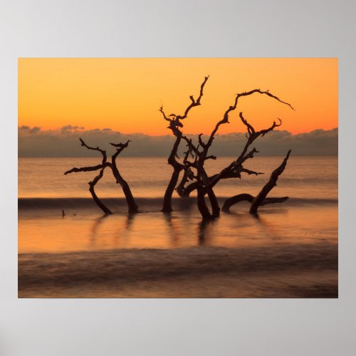 Driftwood Beach at Sunrise Jekyll Island Georgia Poster