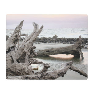 Driftwood Beach at Winter Sunset Metal Art