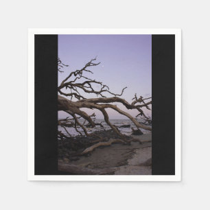 Driftwood Beach Paper Napkin