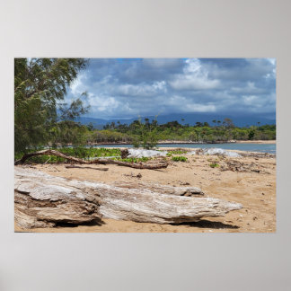 Driftwood Beach Scene Poster
