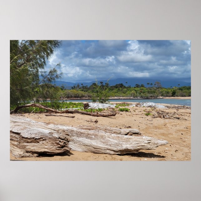 Driftwood Beach Scene Poster (Front)