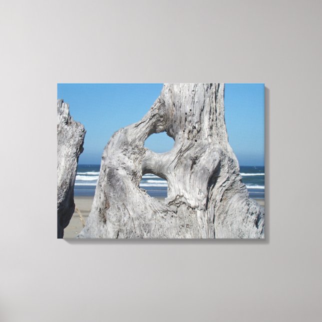 Driftwood Canvas Photography prints Coastal (Front)