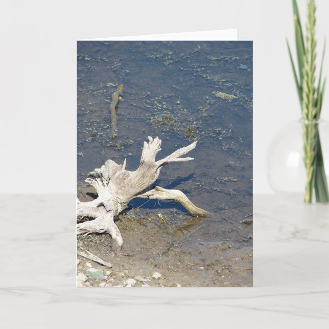 Driftwood Card (Front)