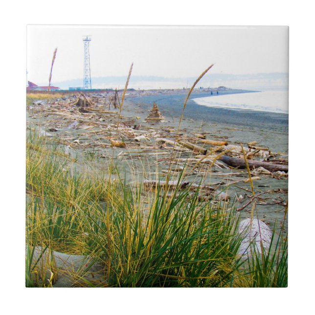 Driftwood Filled Beach Ceramic Tile (Front)