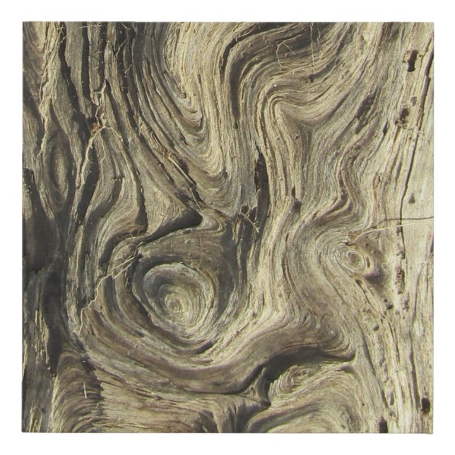 Driftwood Image Faux Canvas Print (Front)