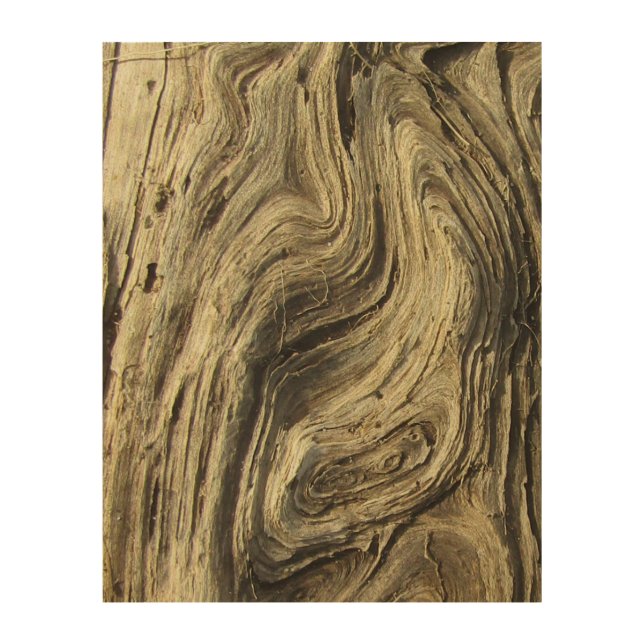 Driftwood Image Wood Wall Art (Front)