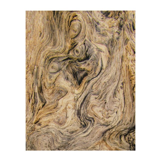 Driftwood Image Wood Wall Art (Front)