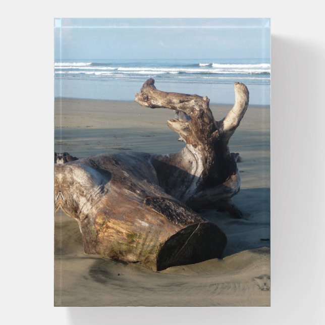 Driftwood Log Costa Rica Beach Photo  Paperweight (Vertical)