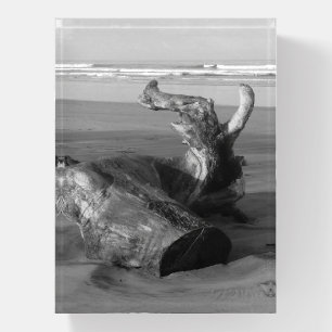 Driftwood Log Costa Rica Beach Photo Paperweight