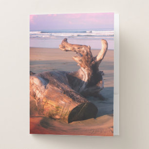 Driftwood Log Costa Rica Beach Photo Pocket Folder